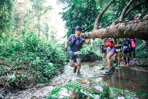 BIB: 
                            <button type="button" onclick="openModal(25453117)" class="btn btn-primary btn-sm float-right btn-popup" data-toggle="modal" data-target=".modal-high-quality">
                        <i class="fas fa-shopping-cart"></i> Add to Cart
                    </button>
                                            <button type="button" onclick="isThisMe(25453117, true)" class="btn btn-success btn-sm float-right btn-popup btn-isme hidden" data-toggle="tooltip" data-placement="bottom" title="นี่คือรูปของคุณใช่ไหม คลิกที่นี่เพื่อเอาเข้าอัลบั้ม">
                        <i class="fas fa-plus"></i> Add to album
                    </button>
                    <button type="button" onclick="isThisMe(25453117, false)" class="btn btn-warning btn-sm float-right btn-popup btn-isnotme hidden">
                        <i class="fas fa-ban"></i> Remove from album
                    </button>